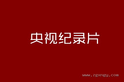 央视纪录片