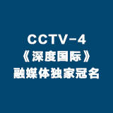 CCTV-4 深度国际 融媒体独家冠名