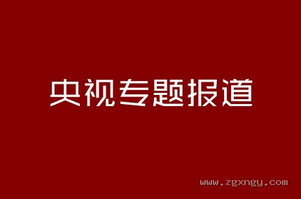 央视专题报道